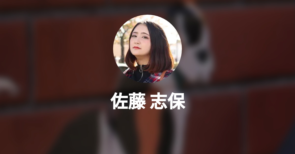 佐藤 志保 Wantedly Profile